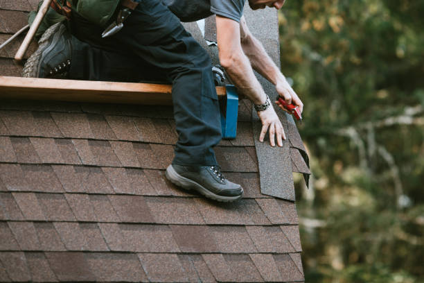 Best Roof Gutter Cleaning  in Palm Valley, TX